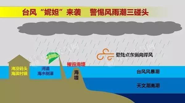 深圳遭遇最新臺風(fēng)，影響與應(yīng)對措施