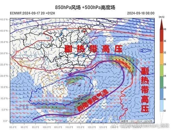 十六號(hào)臺(tái)風(fēng)最新消息，全方位解析與應(yīng)對(duì)策略