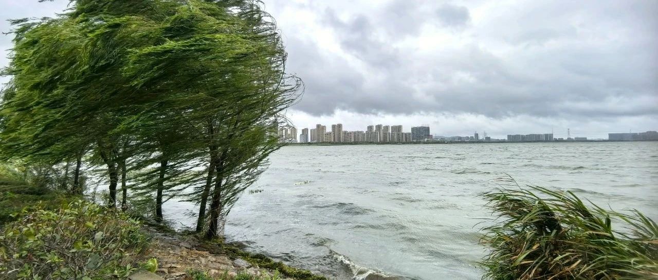 蘇州今天臺風(fēng)最新消息，風(fēng)雨中的城市動態(tài)與應(yīng)對措施