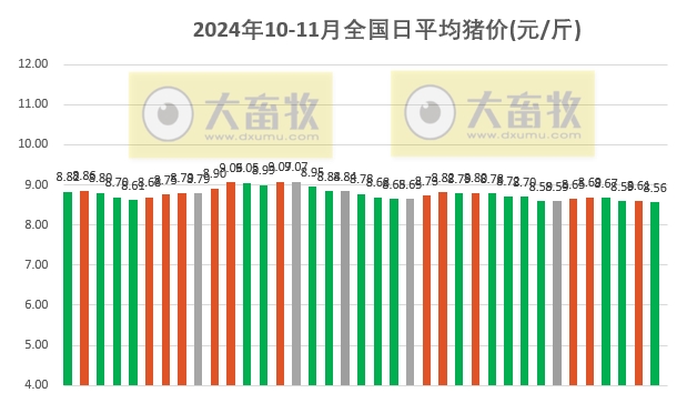 今天豬最新價格——市場走勢分析